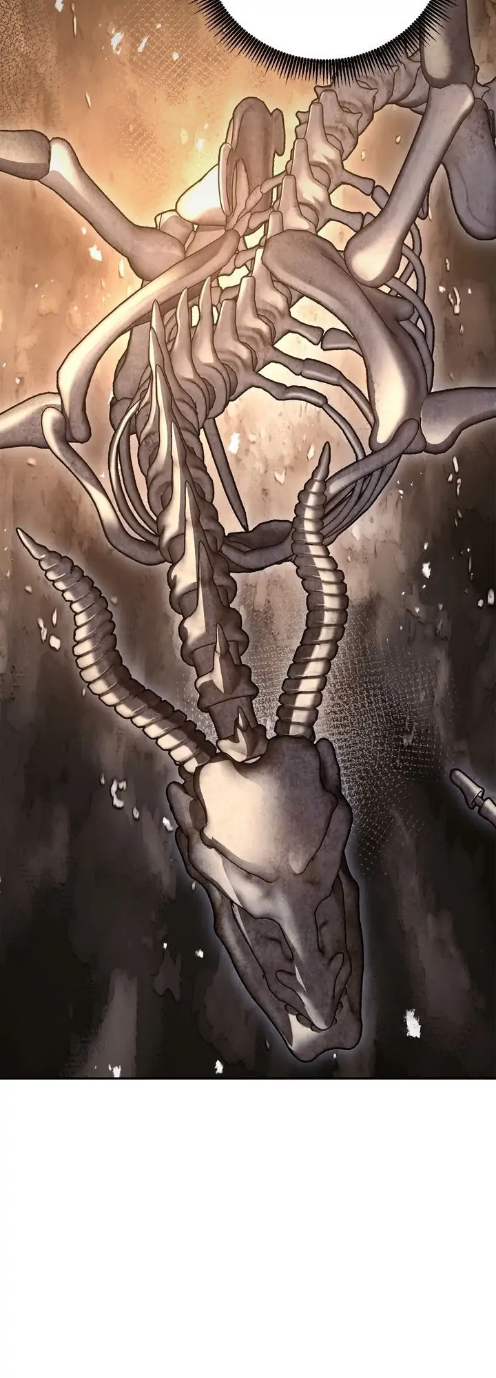 8725323 720 2000 107322