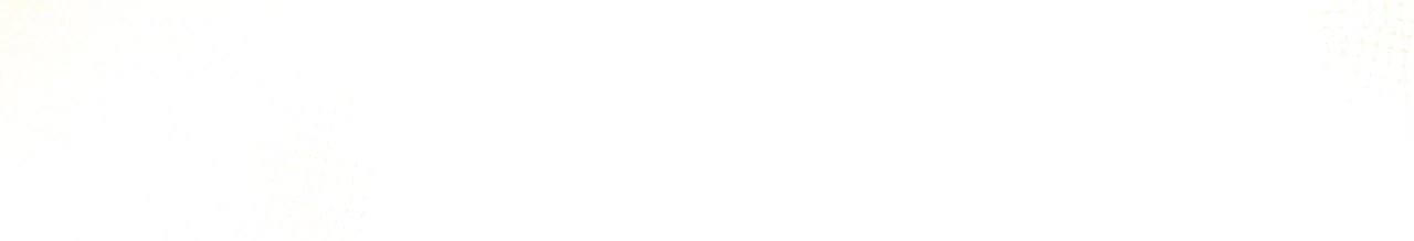 88973888 1280 219 1532